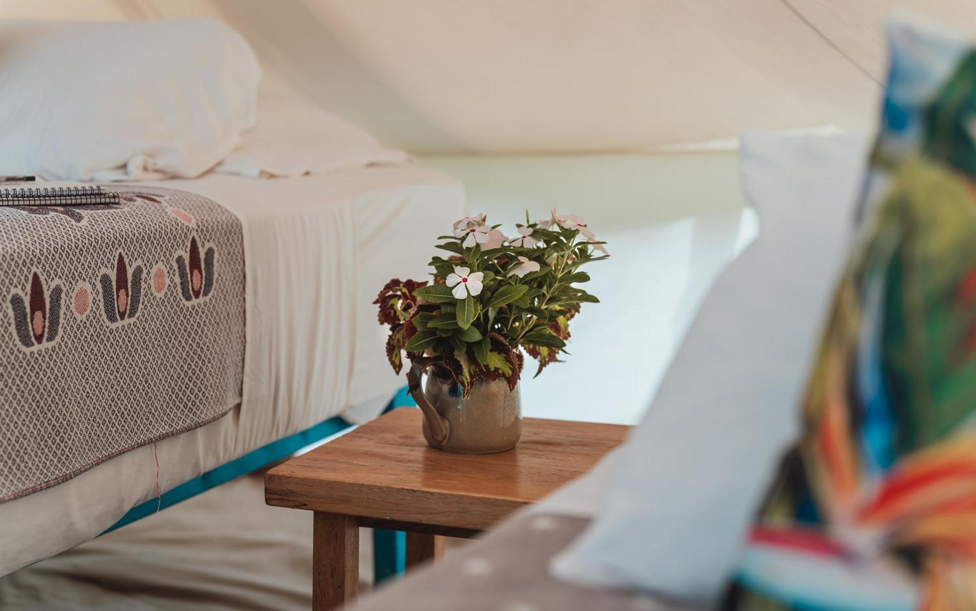Le Life Resort Epule Eksteriør bilde